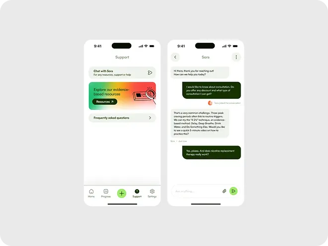 AI Chatbot Solutions screenshot